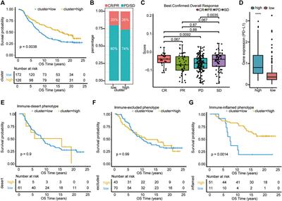 Type 1 T Helper Cell-Based Molecular Subtypes and Signature Are Associated with Clinical Outcome in Pancreatic Ductal Adenocarcinoma